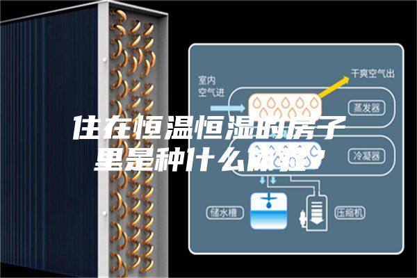 住在恒溫恒濕的房子里是種什么體驗？