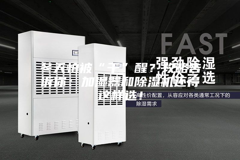 冬天怕被“干”醒？攻略告訴你：加濕器和除濕機還得這樣選！