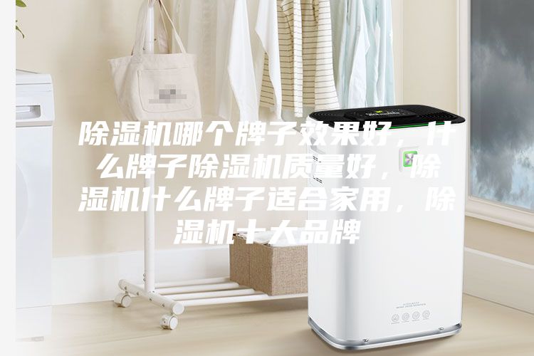 除濕機哪個牌子效果好，什么牌子除濕機質量好，除濕機什么牌子適合家用，除濕機十大品牌
