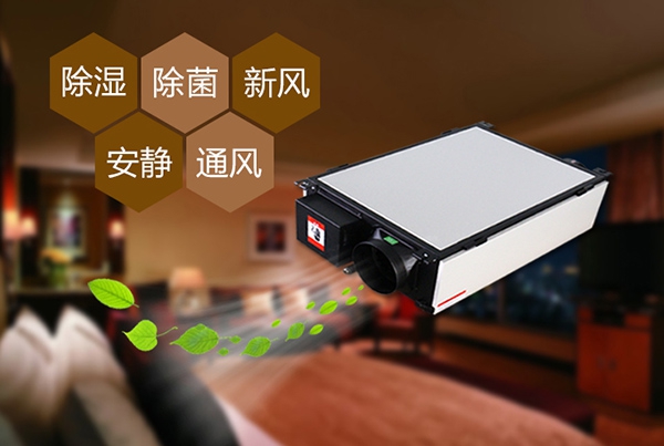 出梅？再等等，在家該如何防潮除濕？