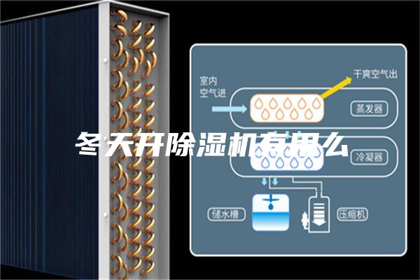 冬天開除濕機有用么