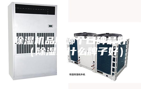 除濕機(jī)品牌哪個(gè)口碑最好（除濕機(jī)什么牌子好）