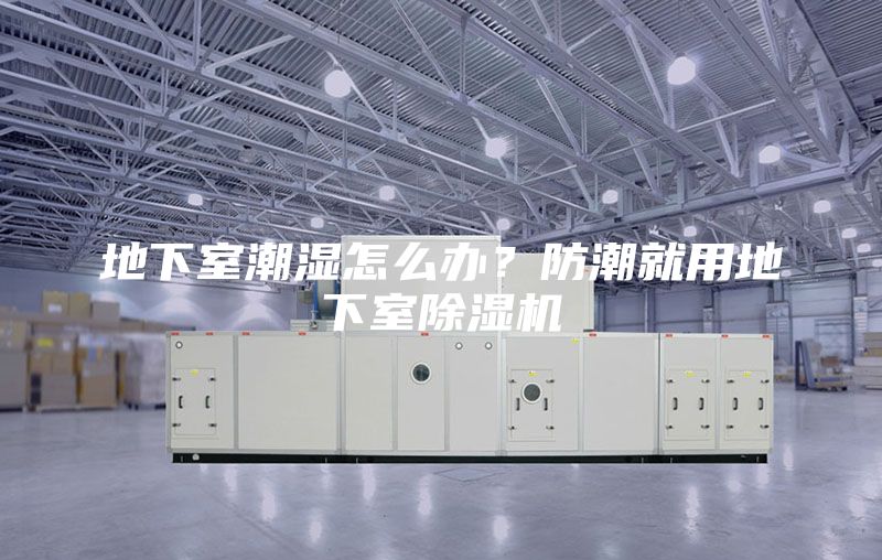 地下室潮濕怎么辦？防潮就用地下室除濕機(jī)