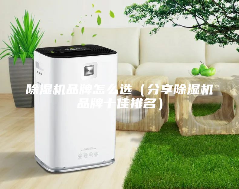 除濕機品牌怎么選(分享除濕機品牌十佳排名)