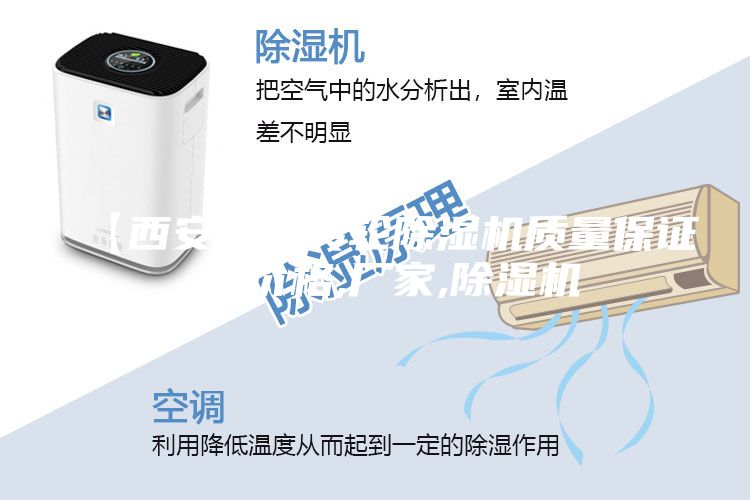 【西安小型轉輪除濕機質量保證 】價格,廠家,除濕機