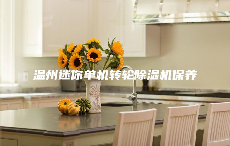 溫州迷你單機轉(zhuǎn)輪除濕機保養(yǎng)