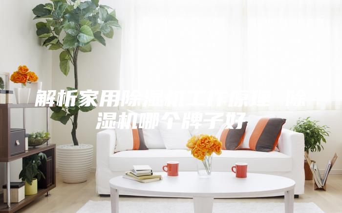 解析家用除濕機(jī)工作原理 除濕機(jī)哪個(gè)牌子好