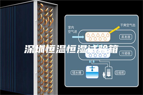 深圳恒溫恒濕試驗(yàn)箱