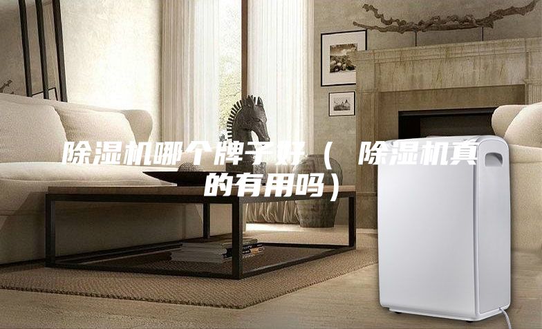 除濕機哪個牌子好( 除濕機真的有用嗎)
