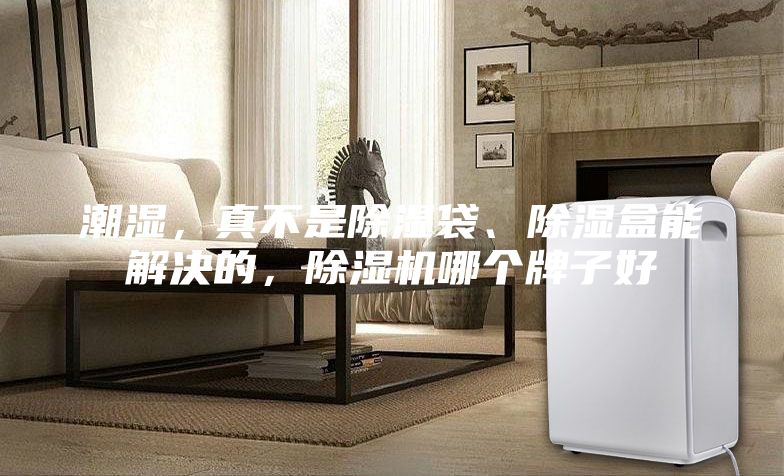 潮濕,真不是除濕袋、除濕盒能解決的,除濕機哪個牌子好
