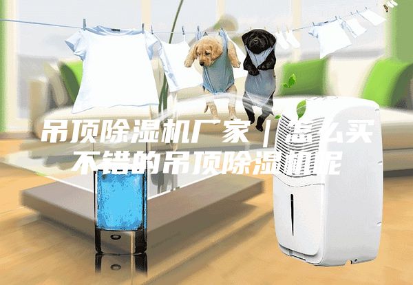 吊頂除濕機廠家|怎么買不錯的吊頂除濕機呢