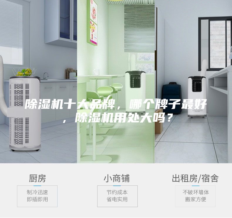 除濕機十大品牌，哪個牌子最好，除濕機用處大嗎？