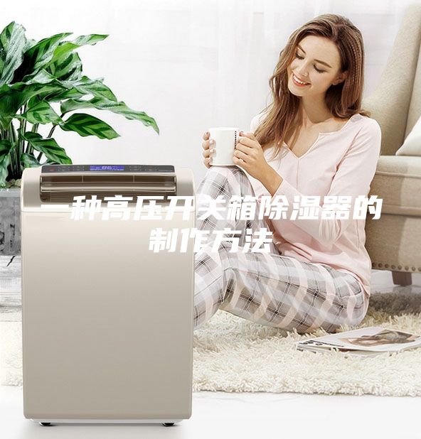 一種高壓開關(guān)箱除濕器的制作方法