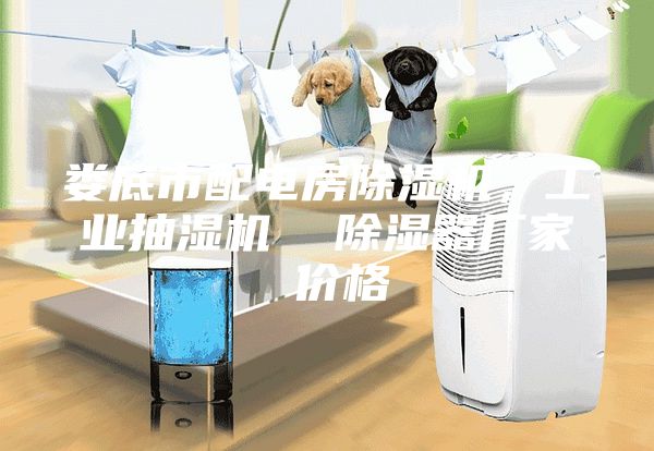 婁底市配電房除濕機，工業抽濕機  除濕器廠家 價格