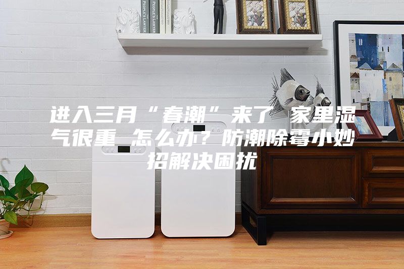 進(jìn)入三月“春潮”來(lái)了 家里濕氣很重 怎么辦？防潮除霉小妙招解決困擾