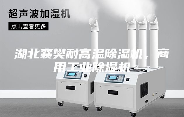 湖北襄樊耐高溫除濕機，商用工業除濕機