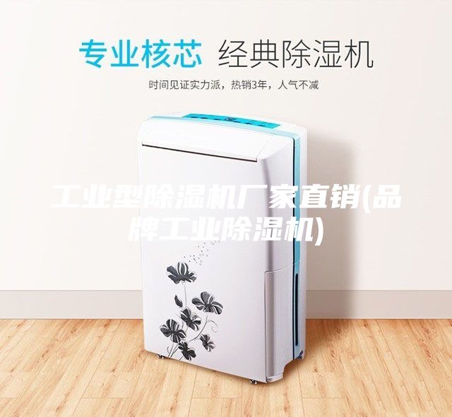 工業(yè)型除濕機廠家直銷(品牌工業(yè)除濕機)