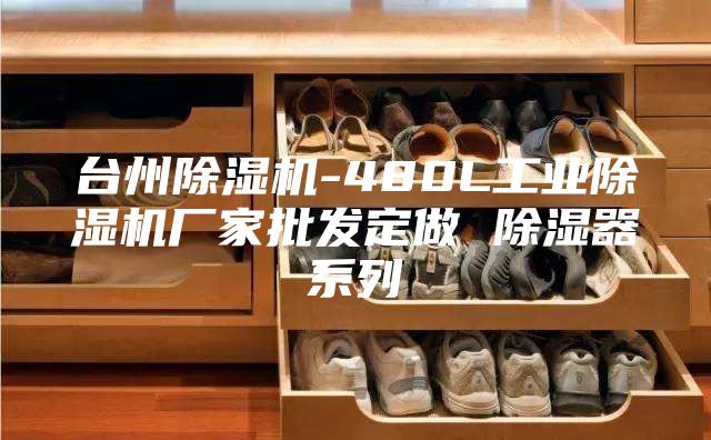 臺州除濕機-480L工業除濕機廠家批發定做 除濕器系列