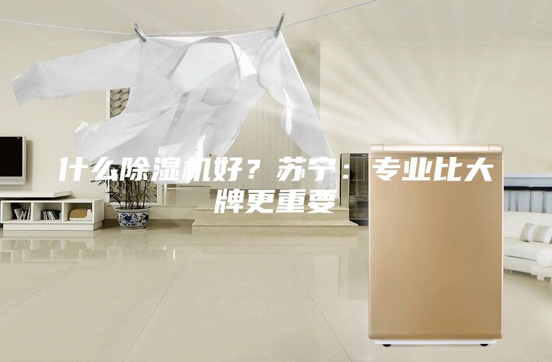 什么除濕機好？蘇寧：專業比大牌更重要