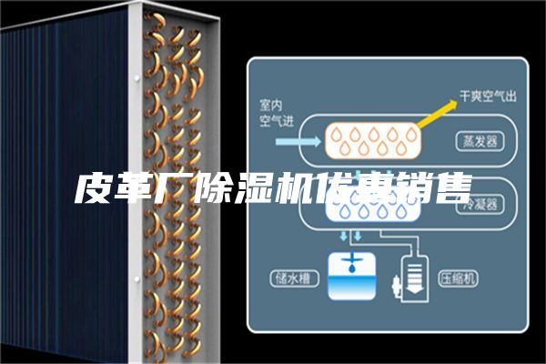 皮革廠除濕機(jī)優(yōu)惠銷(xiāo)售