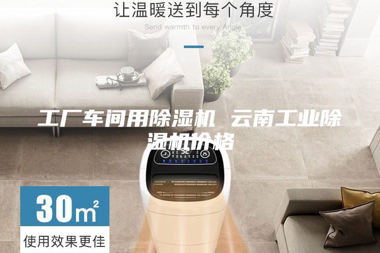 工廠車間用除濕機 云南工業(yè)除濕機價格