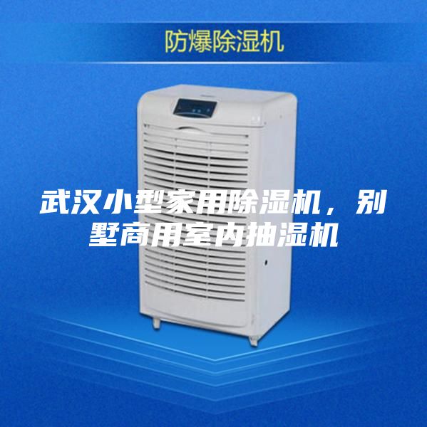武漢小型家用除濕機(jī)，別墅商用室內(nèi)抽濕機(jī)
