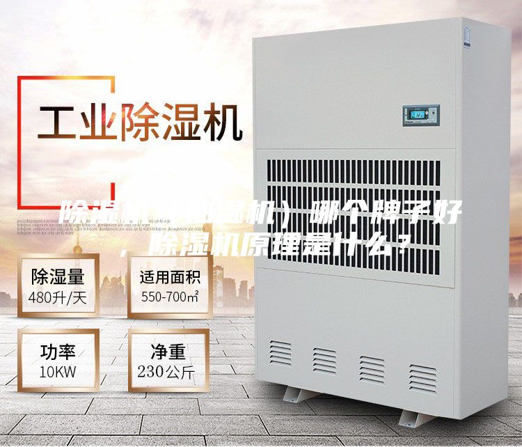 除濕機（抽濕機）哪個牌子好，除濕機原理是什么？