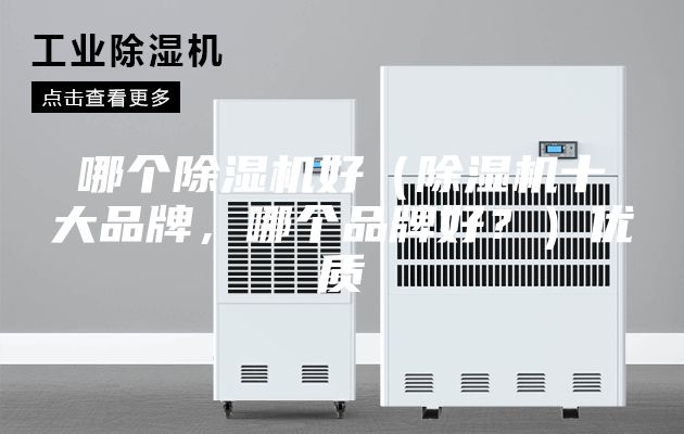 哪個除濕機好（除濕機十大品牌，哪個品牌好？）優質