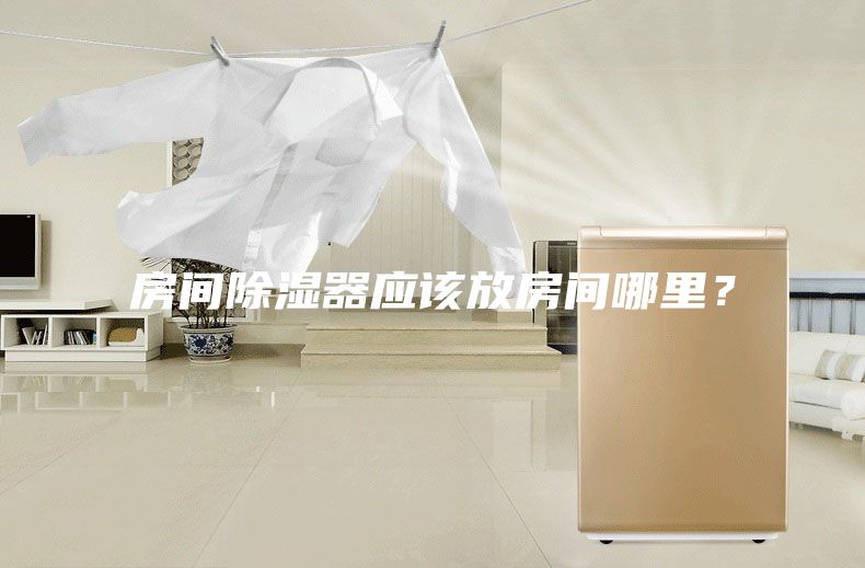 房間除濕器應該放房間哪里?