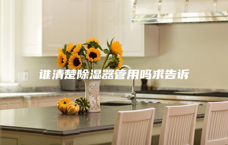 誰清楚除濕器管用嗎求告訴