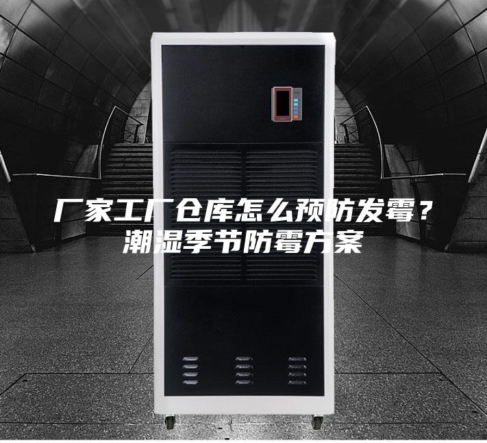 廠家工廠倉庫怎么預防發霉？潮濕季節防霉方案