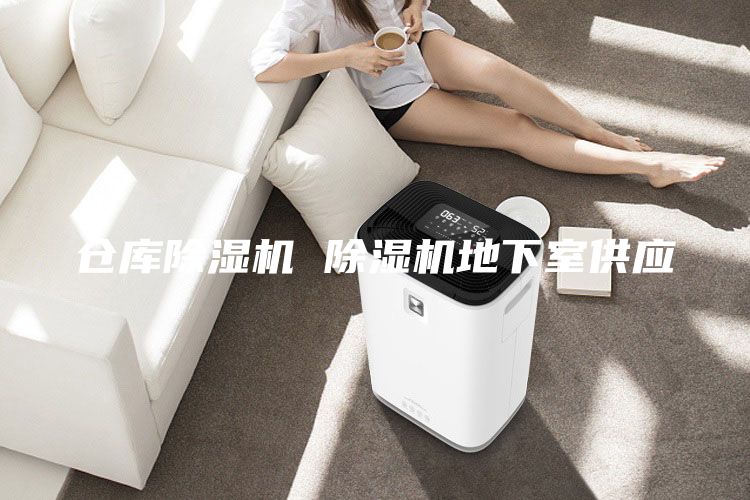 倉庫除濕機 除濕機地下室供應(yīng)