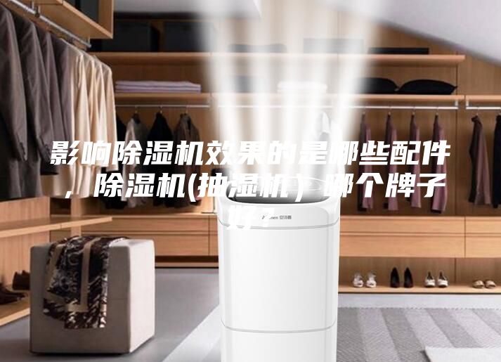 影響除濕機效果的是哪些配件,除濕機(抽濕機)哪個牌子好?