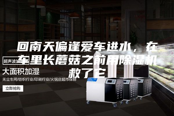 回南天偏逢愛車進(jìn)水，在車?yán)镩L蘑菇之前用除濕機救了它