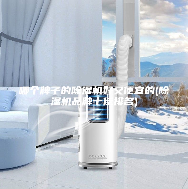 哪個牌子的除濕機(jī)好又便宜的(除濕機(jī)品牌十佳排名)