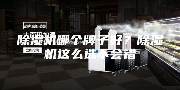 除濕機(jī)哪個(gè)牌子好？除濕機(jī)這么選不會錯(cuò)