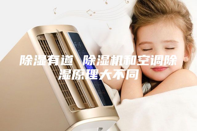 除濕有道 除濕機(jī)和空調(diào)除濕原理大不同