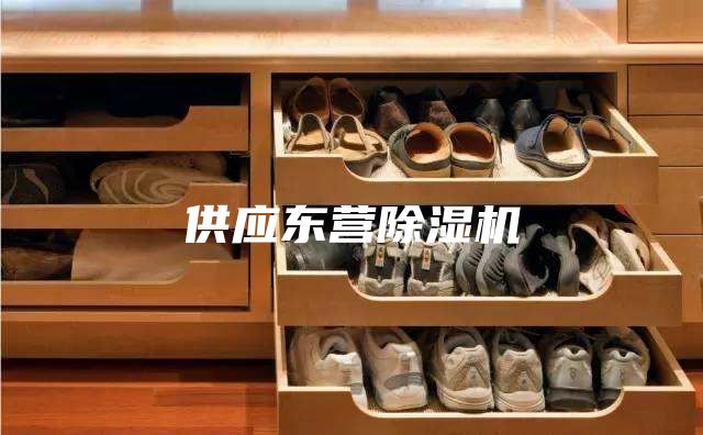 供應(yīng)東營除濕機(jī)