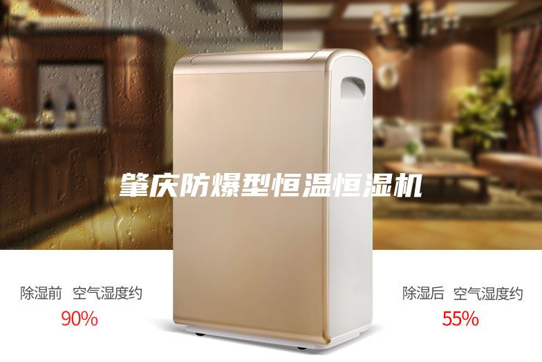 肇慶防爆型恒溫恒濕機(jī)