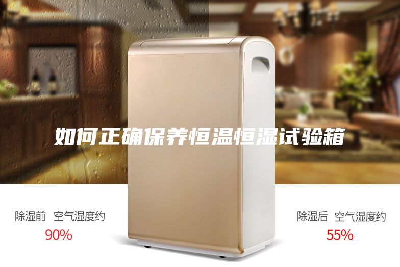 如何正確保養恒溫恒濕試驗箱