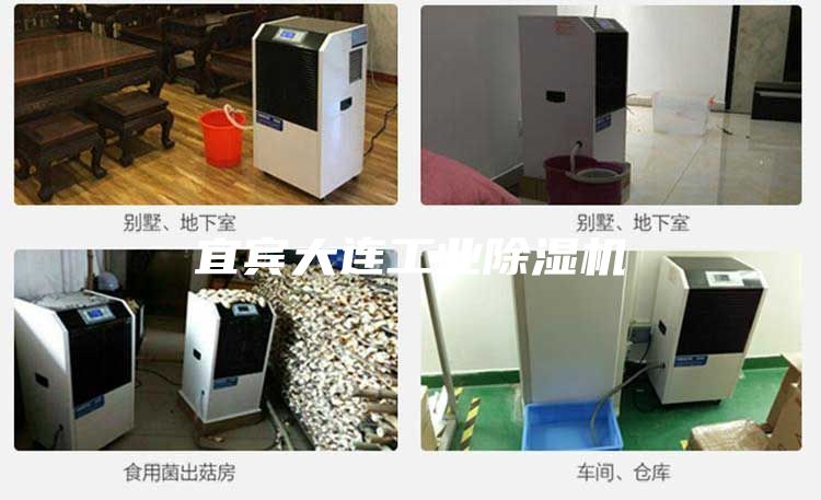 宜賓大連工業除濕機