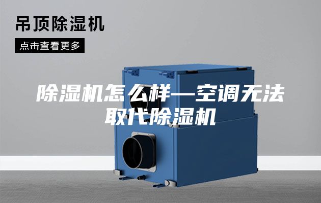 除濕機(jī)怎么樣—空調(diào)無法取代除濕機(jī)