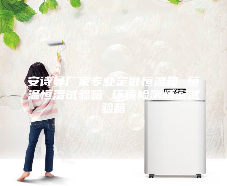 安詩曼廠家專業(yè)定做恒溫箱 恒溫恒濕試驗箱 環(huán)境檢測精密試驗箱
