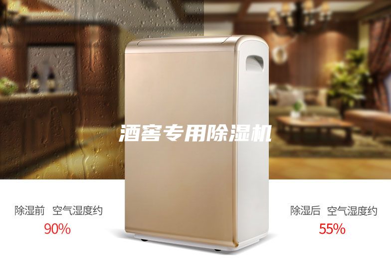 酒窖專(zhuān)用除濕機(jī)