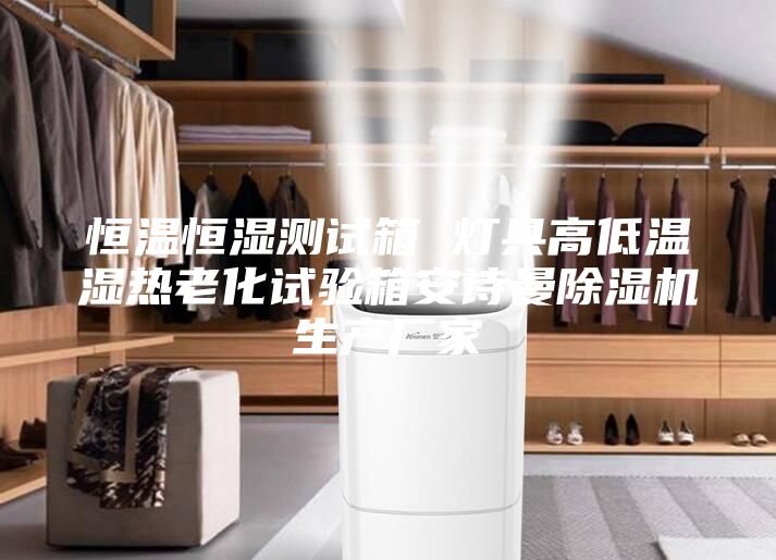 恒溫恒濕測(cè)試箱 燈具高低溫濕熱老化試驗(yàn)箱安詩曼除濕機(jī)生產(chǎn)廠家