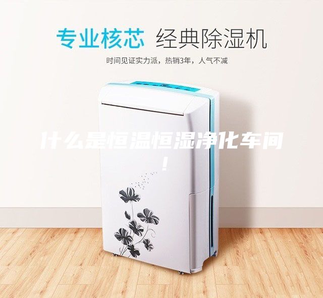 什么是恒溫恒濕凈化車間！