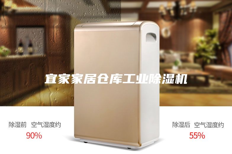 宜家家居倉庫工業(yè)除濕機