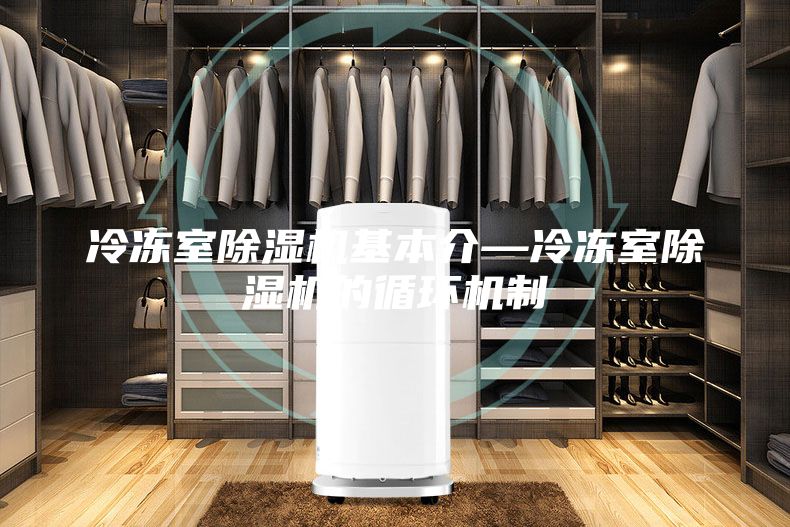 冷凍室除濕機基本介—冷凍室除濕機的循環機制