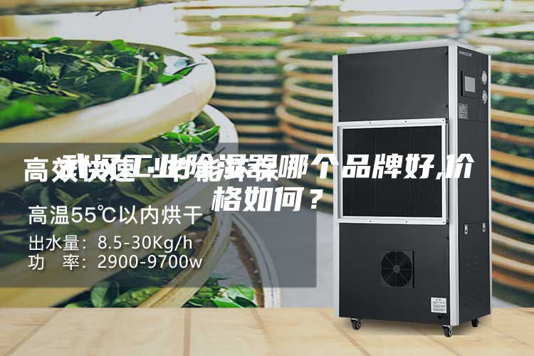 武漢工業(yè)除濕器哪個(gè)品牌好,價(jià)格如何？