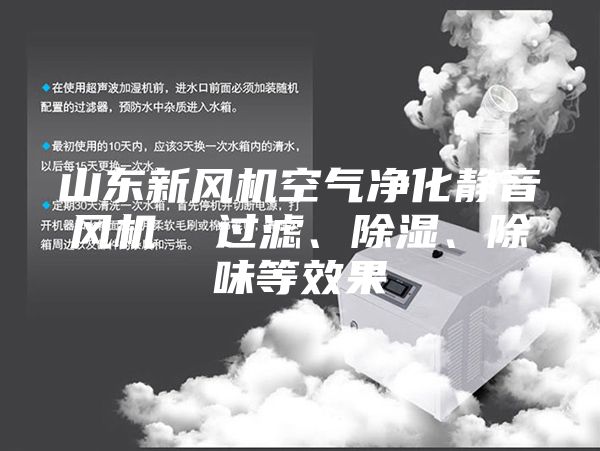 山東新風機空氣凈化靜音風機  過濾、除濕、除味等效果
